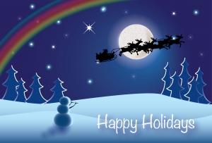 Merry Christmas and a Happy New Year